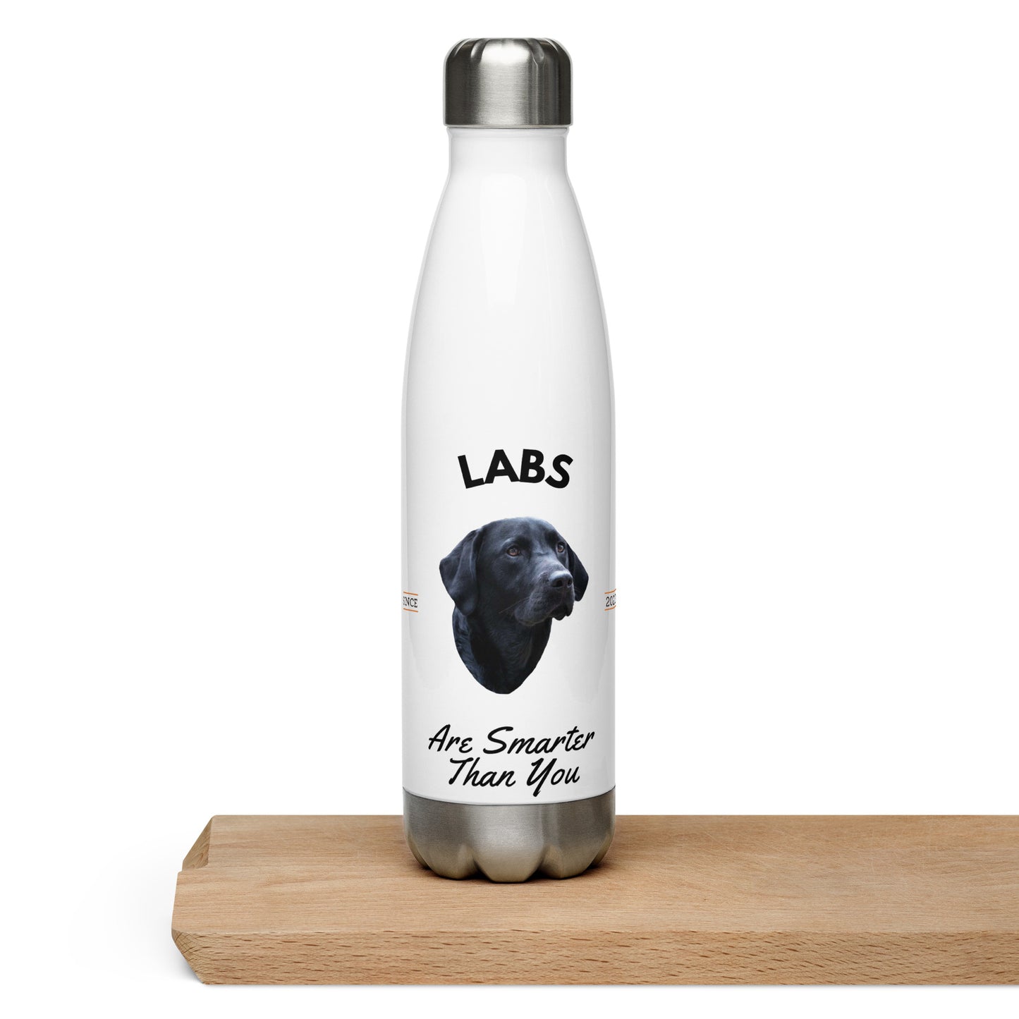 Black Labs - White Water Bottle (Labs Are Smarter Than You)
