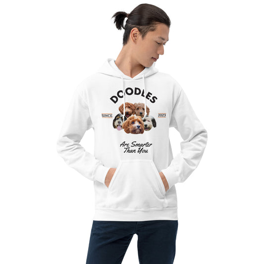 Doodles Are Smarter than You