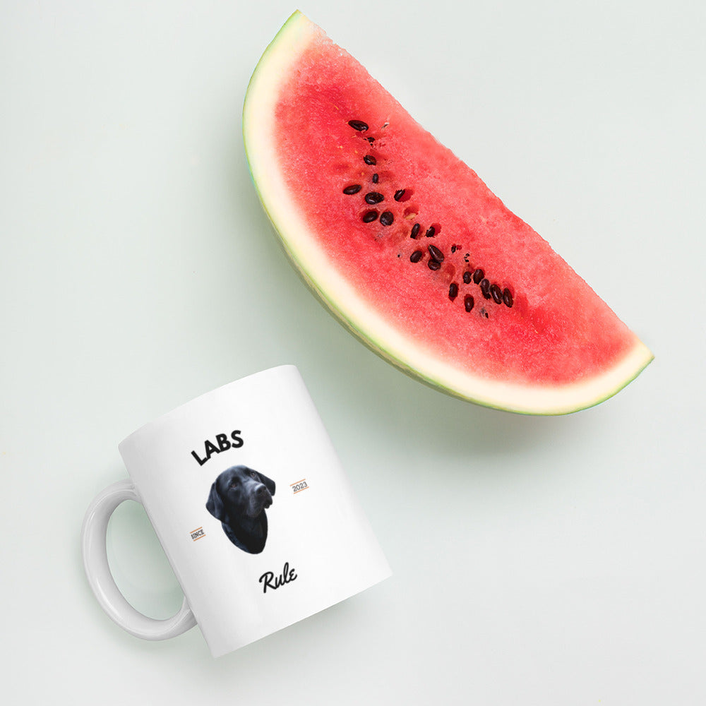 Black Labs - White Coffee Mug (Labs Rule)
